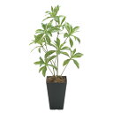 アートグリーン フェイクグリーン 人工観葉植物 光触媒 光の楽園 フレッシュアセビ 2507A55