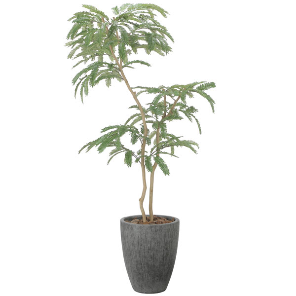 アートグリーン フェイクグリーン 人工観葉植物 光触媒 光の楽園 ナチュラルねむの木1.8 2511A780