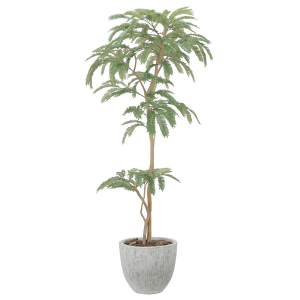 アートグリーン フェイクグリーン 人工観葉植物 光触媒 光の楽園 ナチュラルねむの木1.6 2517A570