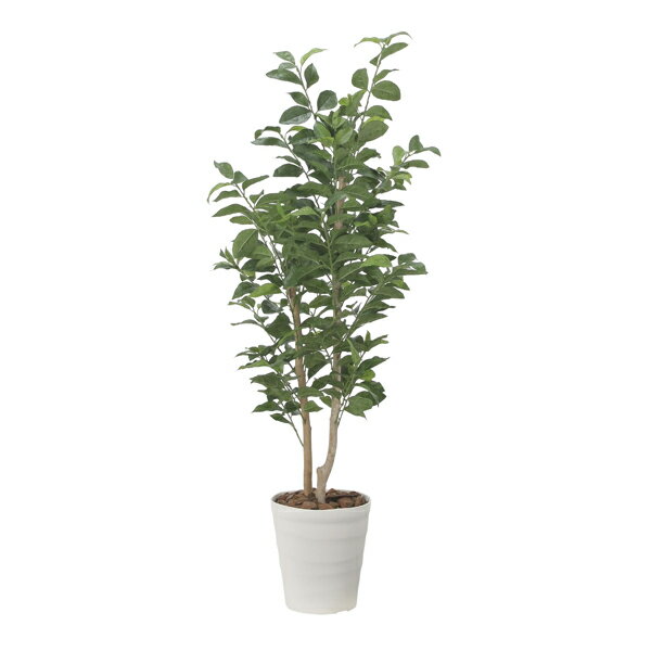 アートグリーン フェイクグリーン 人工観葉植物 光触媒 光の楽園 レモンの木1.35 2523A275