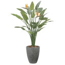 アートグリーン フェイクグリーン 人工観葉植物 光触媒 光の楽園 ナチュラルストレチア花付1.7 2526A800