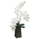 アートフラワー フェイクグリーン 造花 光触媒 光の楽園 デザインフレッシュ胡蝶蘭 2579A200