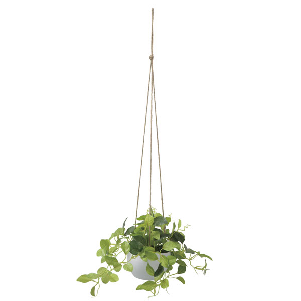 アートグリーン フェイクグリーン 人工観葉植物 光触媒 光の楽園 チャーリーハンギング 2582A50