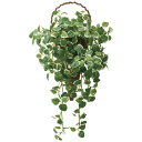 アートグリーン フェイクグリーン 人工観葉植物 光触媒 光の楽園 壁掛けプミラ 2585A95