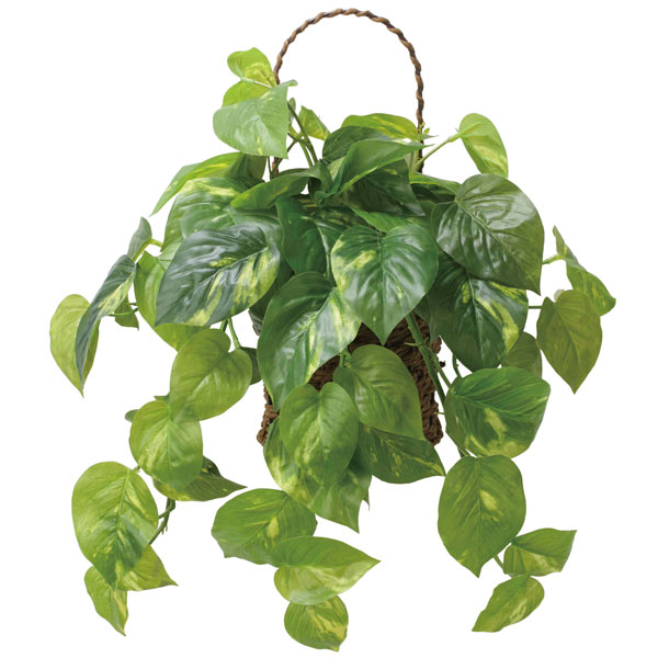 アートグリーン フェイクグリーン 人工観葉植物 光触媒 光の楽園 壁掛けフレッシュポトス 2599A65