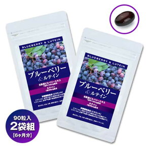 ブルーベリー＆ルテイン90粒×2袋組【6カ月分セット】