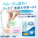 カリウム サプリ 35,100mg むくみ ミネラル 栄養機能食品 ビタミンB カリウムPLUS 30日分 商品到着後レビュー投稿で特典あり カリウム含有量業界トップクラス 送料無料 その1