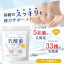 乳酸菌 サプリ フローラ ビフィズス菌 サプリメント オリゴ糖 5兆個 33種類の乳酸菌 体内環境 30日分