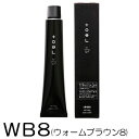 インターコスメ トエルカラー WB8(ウォームブラウン8) 100g ～染毛剤・1剤～