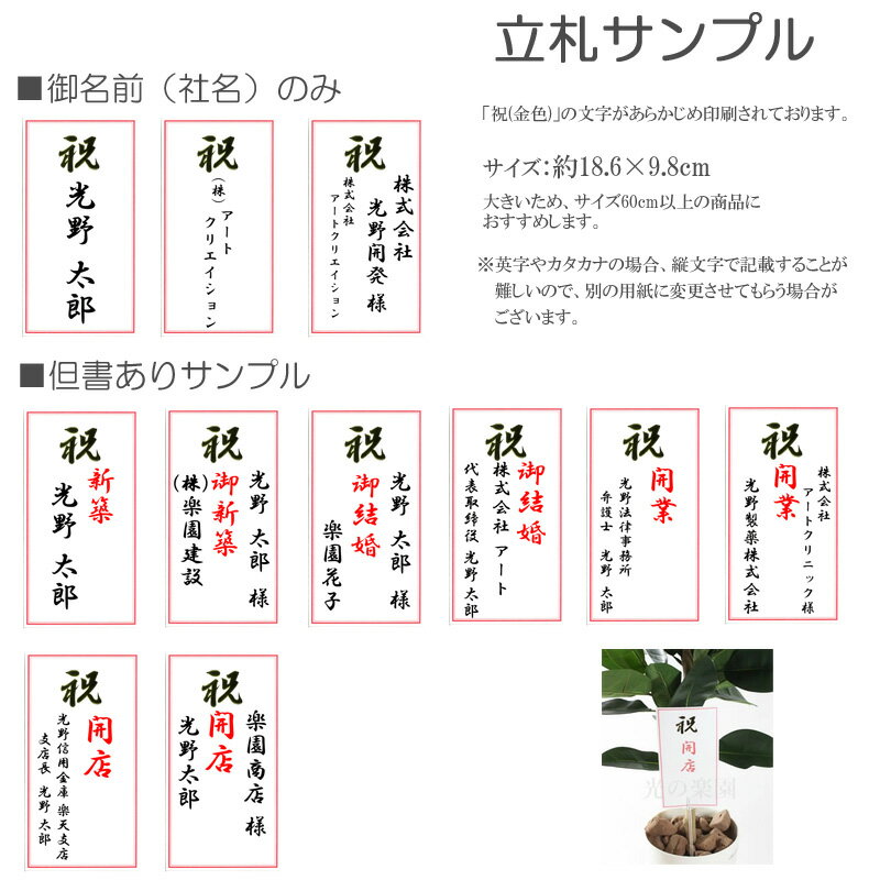 光触媒 光の楽園プレミアム胡蝶蘭7本立W【アートフラワー 造花 】（※ラッピング不可）