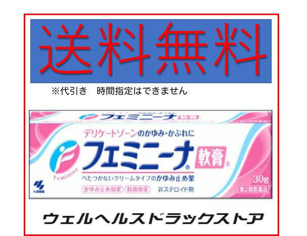 フェミニーナ軟膏S 30g 送料無料 小林製薬 【第2類医薬品】