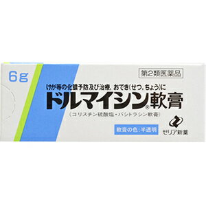 【あす楽】【第(2)類医薬品】ドルマイシン軟膏 6g 送