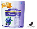 小林製薬の栄養補助食品 ブルーベリー 【約60日分】 (60粒) ※軽減税率対象商品