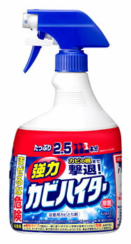 花王　強力カビハイター　ハンディスプレー　特大　本体　(1000mL)　ハイター　(4901301369147)