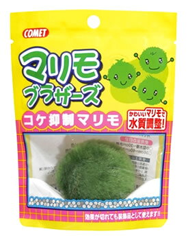 イトスイ　コメット　マリモブラザーズ　コケ抑制マリモ　(1個)　観賞魚用　水質調整剤