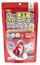 イトスイ コメット 金魚の主食 納豆菌配合 色揚げ 中粒 (200g) 金魚 エサ