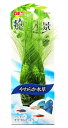 ジェックス 癒し水景 プランテリア ケヤリ草セットS (1個) 水槽飾り アクセサリー