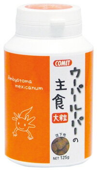 リニューアルに伴いパッケージ・内容等予告なく変更する場合がございます。予めご了承ください。 名　称 コメット　ウーパールーパーの主食　大粒 内容量 125g 特　徴 ◆バナナ粉末を配合し、健康維持に必要な栄養素をバランス良く含んだ専用フードです。 ◆スプーン付きで手を汚さず簡単に与えることが可能。 ◆大粒は直径約7mm。 粗蛋白質：48％以上 粗脂肪：3％以上 粗繊維：3％以下 粗灰分：15％以下 水分：10％以下 区　分 ウーパールーパー用エサ、両棲類専用飼料 ご注意 ◆本品記載の使用法・使用上の注意をよくお読みの上ご使用下さい。 販売元 株式会社イトスイ　東京都練馬区石神井台7-22-15 お問い合わせ　電話：03-3920-2736 広告文責 株式会社ツルハグループマーチャンダイジング カスタマーセンター　0852-53-0680 JANコード：4971453053379　