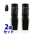 《セット販売》　コーセー　ネイルホリック　アート　BK081　(5mL)×2個セット　ネイルカラー　NAILHOLIC