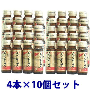 【第3類医薬品】【あす楽】　《セット販売》　※ツルハグループ限定※　滋養強壮　新エゾエースH　(50ml×4本入)×10個セット　(40本)　【送料無料】　【smtb-s】