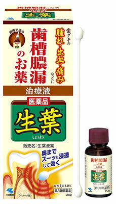 【第3類医薬品】小林製薬　生葉液薬（しょうようえきぐすり）　液体20g、綿棒30本
