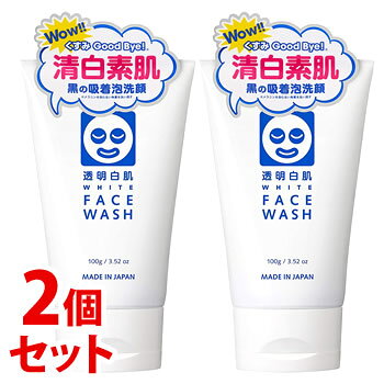 石澤研究所 - 《セット販売》　石澤研究所 透明白肌 ホワイトフェイスウォッシュ (100g)×2個セット 洗顔フォーム 洗顔料