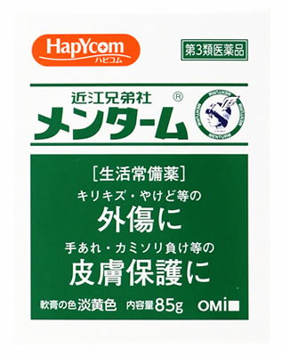 y3ވiznsR ߍ]Z ^[ (85g) HapYcom O 畆ی