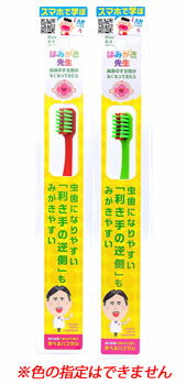 商品の色と掲載画像が異なる場合がございます。また、商品の色はお選びいただけません。ご了承ください。 リニューアルに伴いパッケージ・内容等予告なく変更する場合がございます。予めご了承ください。 名　称 はみがき先生　乳歯奥歯がみがきやすい歯ブラシ 内容量 1個 特　徴 歯の成長に合わせて選ぶ　学べるハブラシ 弱い力でも歯をキャッチできるよう、凹型カットになっています。 正しい角度で歯ブラシがあたり、ぐらつきにくい八角形ハンドルです。 「奥歯の歯間」の虫歯にも注意 幼少期の子どもは利き手と反対側の奥歯をみがくときに脇があきやすく歯ブラシがうまく歯にあたらないことがあります。 さらに、この時期は、顎の中の6歳臼歯の影響で、奥歯が前に押し出されて「奥歯の歯間」の隙間がなくなり食べ物が詰まりやすくなります。「奥歯のミゾ」と合わせてケアしましょう。 歯間の汚れは歯ブラシだけでは不十分なため、デンタルフロスも併用し始めましょう。 20分割法を身につけてみがき忘れを防ぐ 正しいはみがき習慣をつけるために、この時期はみがく順番を覚えましょう。 【みがき順　右利きの場合】 上の歯の利き手側から、歯の外側・内側・ミゾ、下の歯の外側・内側・ミゾの順に、2〜3本ずつ小きざみに、1カ所10回程度、優しく動かしながらみがきます。全部で3〜4分程度かけましょう。 使用時期：奥歯の隙間がなくなってきたら 年齢目安：4歳〜5歳 材　質 柄の材質：ポリプロピレン、毛の材質：ナイロン 使用方法 みがく時のポイント：奥歯と奥歯の間 奥歯の隣接面が虫歯になりやすい（特に利き手の反対側）。 また、歯間が狭くなり食べ物が詰まりやすくなるので、注意してみがきましょう。 耐熱温度：80度 区　分 子ども用ハブラシ、歯ブラシ ご注意 ●商品の色と掲載画像が異なる場合がございます。また、商品の色はお選びいただけません。ご了承ください。 【保護者の皆様へ】歯ブラシを口に入れたまま、走らせたり遊ばせたりしないでください。 思わぬ事故の原因となります。 【ご使用上の注意】使用後は水洗いをし、清潔に保管してください。 薬液や熱湯による消毒は変色や変形をする恐れがありますのでおやめください。 歯ブラシを強く噛むなど強い力を加えると、毛が抜けたり、折れたりすることがあります。 ◆本品記載の使用法・使用上の注意をよくお読みの上ご使用下さい。 販売元 株式会社オカムラ　大阪市生野区鶴橋 3-6-18 お問い合わせ　電話：06-6717-3551 広告文責 株式会社ツルハグループマーチャンダイジング カスタマーセンター　047-409-4023 JANコード：4983435760465商品の色と掲載画像が異なる場合がございます。また、商品の色はお選びいただけません。ご了承ください。