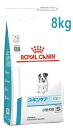 CJi p XLPA ps[ ^p S hC (8kg) hbOt[h HÖ@H ROYAL CANIN