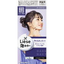 花王 リーゼ 泡カラー ダークネイビー (1セット) ヘアカラーリング剤 黒髪用ヘアカラー　【医薬部外品】