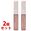《セット販売》 井田ラボラトリーズ キャンメイク アイカラーマジシャン 06 強がり (1個)×2個セット アイシャドウ CANMAKE(4)