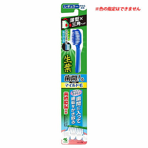 小林製薬 生葉 歯間に入るブラシ マ