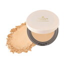 ノエビア SANA サナ 毛穴パテ職人 エッセンスBBパウダー N 02 ナチュラルベージュ SPF50+ PA++++ (10g) フェイスパウダー