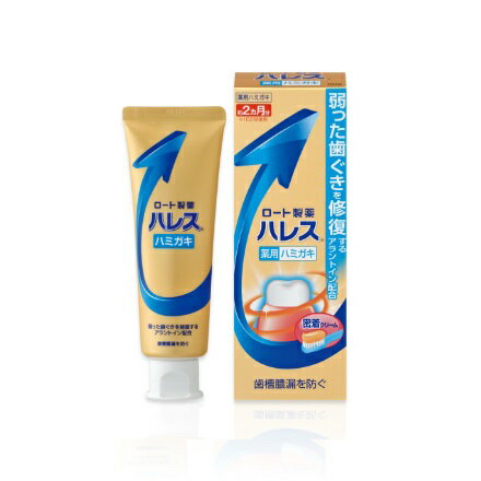 ロート製薬 ハレス ハミガキ (50g) 薬用 歯みがき粉 歯磨き粉　