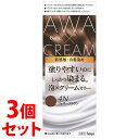 《セット販売》 ホーユー ビゲン 泡クリームカラー 4N フォギーブラウン (1個)×3個セット 白髪用 白髪染め 【医薬部外品】
