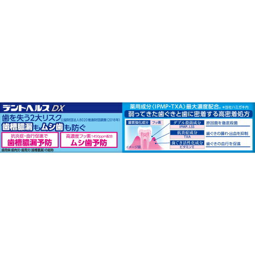 ライオン デントヘルス 薬用ハミガキDX (28g) 歯周病 虫歯 口臭予防　【医薬部外品】