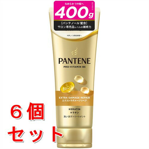 《セット販売》 P&G パンテーン　エクストラダメージリペア　洗い流すトリートメント　特大サイズ　400G×6個セット