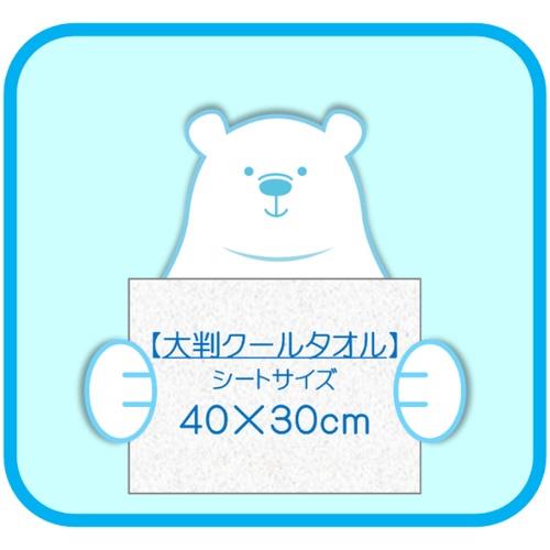 大判クールタオル　ラージ冷えてます　極冷　12枚　熱中症対策