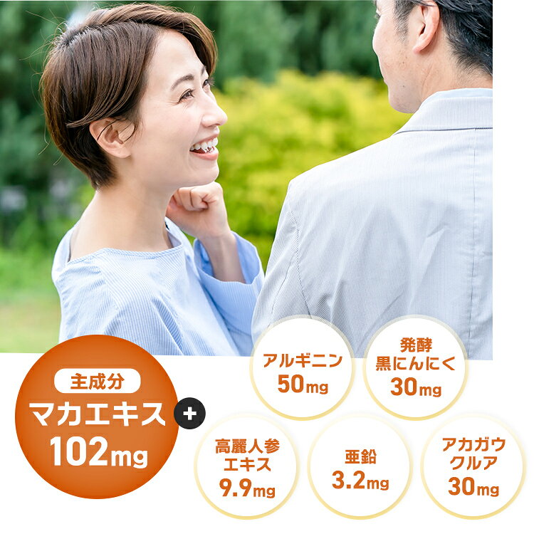 スタミンパワー マカエキス 亜鉛 黒にんにく 高麗人参エキス 女性にも嬉しい栄養素 続けやすい錠剤タイプ 1日3粒 マカ サプリメント wellness21-10000003 ウエルネス21楽天市場店 サンプル画像2