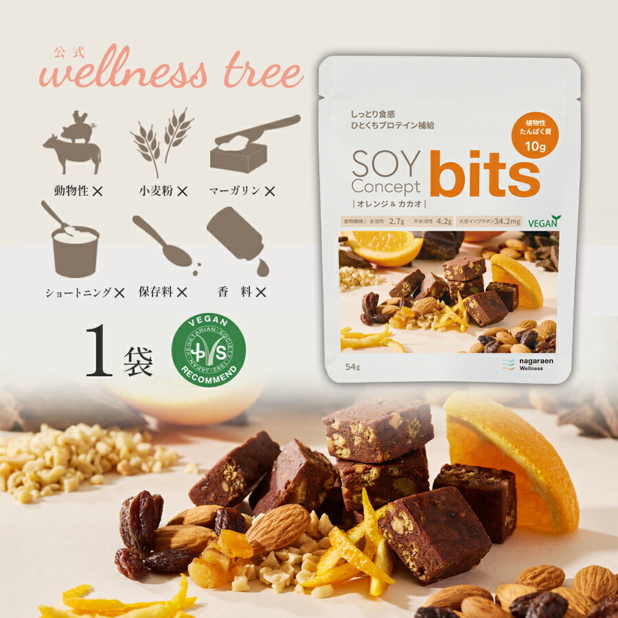 【公式】SOY Concept bits ソイコンセプト ビッツ ソイビッツ オレンジ & カカオ 1袋 一口サイズ プロテイン タンパク質 おやつ プロテイン...