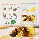 【公式】SOY Concept bits ソイコンセプト ビッツ ソイビッツ 1袋 一口サイズ プロテイン タンパク質 おやつ プロテインバー オレンジ&カカオ...