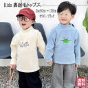 子供トップス　裏起毛トップス　あたたか素材 　カットソー　長袖　ラウンドネック　ラグラン袖　子供用　キッズ　トップス　丸首　丸襟　カジュアル　ベビー　シンプル　男の子　女の子　男児　女児　子供服　子ども服　こども服　ジュニア　Tシャツ　 冬 暖かい　送料無料