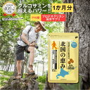 【P10倍】 北国の恵み 93粒 (約1ヶ月分) プロテオグリカン グルコサミン を超えるパワー※ ウェルヴィーナス 公式 北国の恵 2型コラーゲン ヒアルロン...