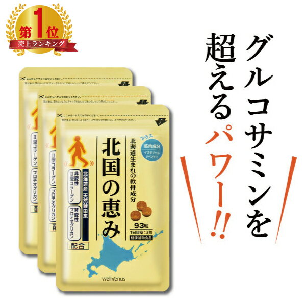 【楽天18冠】北国の恵み （約3ヶ月分） プロテオグリカン 2型コラーゲン ヒアルロン酸 配合 サプリ サプリメント グルコサミン コンドロイチン と好相性 鮭鼻 軟骨成分 配合 ふしぶしの違和感が気になる方に 鮭軟骨 サケ軟骨 非変性ii型コラーゲン 送料無料