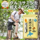 \P10倍/ 北国の恵み 93粒 (約1ヶ月分) プロテオグリカン 2型コラーゲン ヒアルロン酸 配合 サプリ サプリメント グルコサミン コンドロイチン と好...