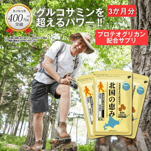 北国の恵み 93粒×3袋 (約3ヶ月分) プロテオグリカン グルコサミン ウェルヴィーナス 公式 北国の恵 2型コラーゲン ヒアルロン酸 サプリ サプリメント コンドロイチン 鮭鼻 軟骨成分 配合 鮭軟骨 サケ軟骨 非変性ii型コラーゲン