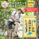 \P10倍/ 北国の恵み 93粒 (約1ヶ月分) プロテオグリカン グルコサミン を超えるパワー※ ウェルヴィーナス 公式 北国の恵 2型コラーゲン ヒアルロン酸 サプリ サプリメント 鮭鼻 軟骨成分 配合 鮭軟骨 サケ軟骨 非変性ii型コラーゲン