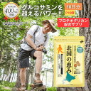 \P10倍/北国の恵み 30粒(約10日分)プロテオグリカン グルコサミン を超えるパワー※ ウェルヴィーナス 公式 北国の恵 2型コラーゲン ヒアルロン酸 サプリ サプリメント 鮭鼻 軟骨成分 配合 鮭軟骨 サケ軟骨 非変性ii型コラーゲン