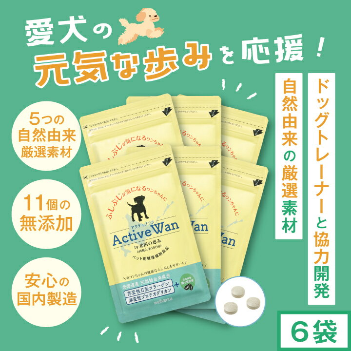 犬 犬用 サプリ 『緑イ貝 乳酸菌 2型コラーゲン プロテオグリカン モリンガ』 5つの自然由来成分配合 国産サプリ 【アクティブワン 45粒×6袋】 グルコサミン、コンドロイチンを含む新・軟骨成分『プロテオグリカン』配合