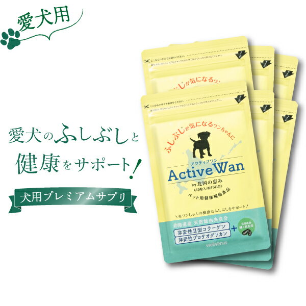 犬 関節 サプリメント 【 アクティブワン 45粒×6袋 】 緑イ貝 乳酸菌 2型コラーゲン プロテオグリカン モリンガ 国内製造 グルコサミン コンドロイチン を含む新軟骨成分『プロテオグリカン』配合 11の無添加 低カロリー おやつ 関節 免疫 健康 フード
ITEMPRICE